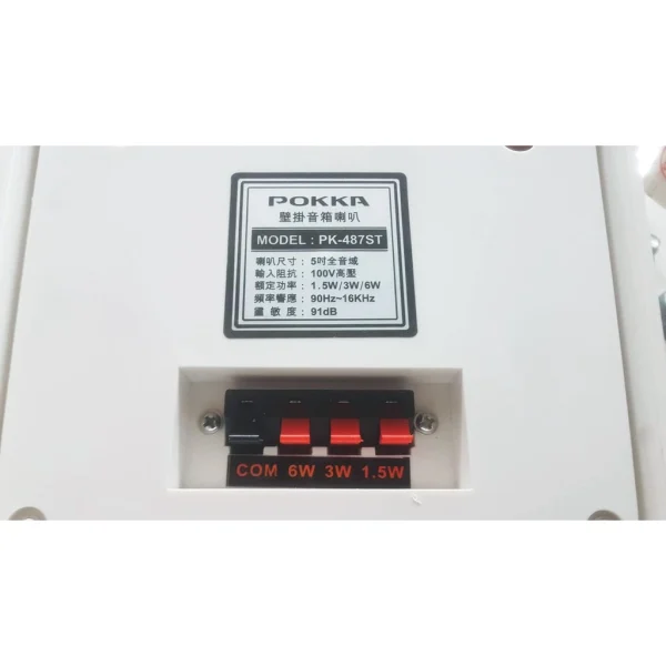 【 大林電子 】 ★ 熱銷喇叭 ★ POKKA 壁掛音響喇叭 擴音器 PK-487ST (白色)
