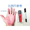 【 大林電子】 Hylex 小巧玲瓏 專業級迷你動圈式有線麥克風 D-11（含皮套）