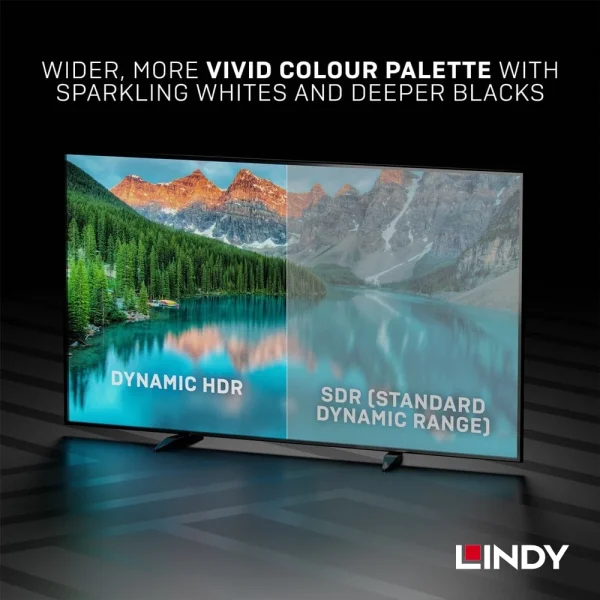 【 大林電子 】 LINDY 林帝 HDMI2.1(TYPE-A) 公TO公 傳輸線 1M/2M 36952 36953