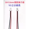 【 大林電子 】單頭 電子線連接線 SH1.0MM 2P #28 線長10CM