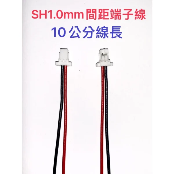 【 大林電子 】單頭 電子線連接線 SH1.0MM 2P #28 線長10CM