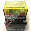 【 大林電子 】電池 YTX5L-BS電池 YUASA 湯淺 5號電池 機車電池 全新 未加水