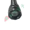【 大林電子 】LED 強光手電筒 伸縮手電筒 變焦手電筒 工作燈 變焦手電筒 X79 TPYEC 充電式