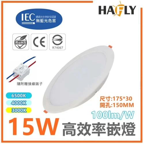【 大林電子 】高效率 15W LED戰鬥版嵌燈 時尚崁燈 節能標章認證 高亮度 CNS認證 HAFLY 華豐利