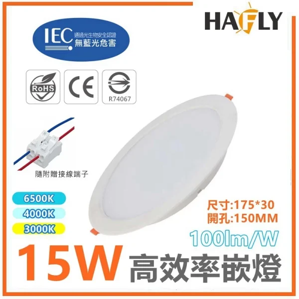 【 大林電子 】高效率 15W LED戰鬥版嵌燈 時尚崁燈 節能標章認證 高亮度 CNS認證 HAFLY 華豐利