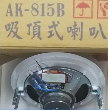 【 大林電子 】 AKAWA 愛哥華 8吋 吸頂喇叭 AK-815ST AK-815