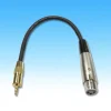 【 大林電子 】3.5立體鍍金頭-3P佳能線6尺 P/D6550