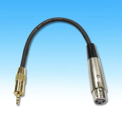 【 大林電子 】3.5立體鍍金頭-3P佳能線6尺 P/D6550