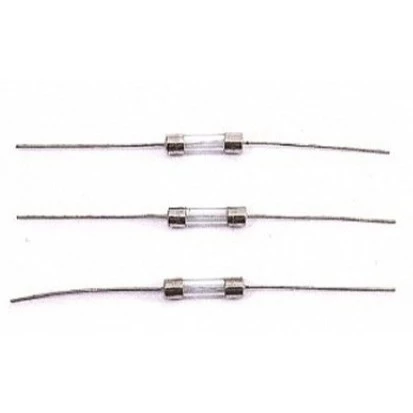 tw-11134207-7r98z-lv1qs4tmljjd5e 【 大林電子 】20mm 帶焊腳保險絲 DIY 材料 250V 帶腳 2入裝