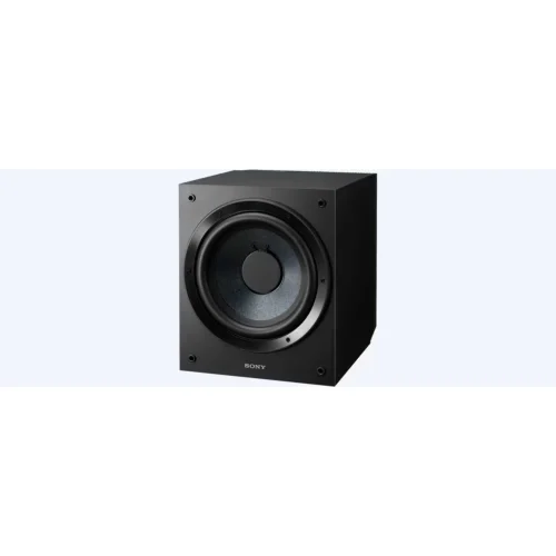 【 大林電子 】SONY 索尼 SA-CS9 主動式重低音 喇叭 公司貨
