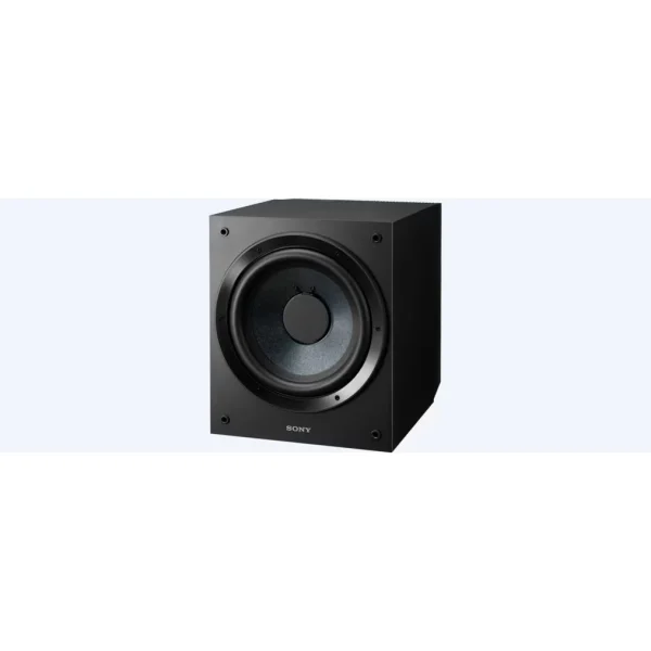 【 大林電子 】SONY 索尼 SA-CS9 主動式重低音 喇叭 公司貨