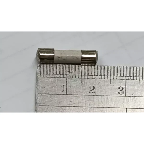 【 大林電子 】陶瓷保險絲20mm 電子材料DIY 2入裝 6826