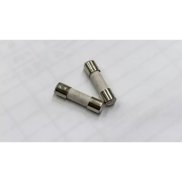【 大林電子 】陶瓷保險絲20mm 電子材料DIY 2入裝 6826