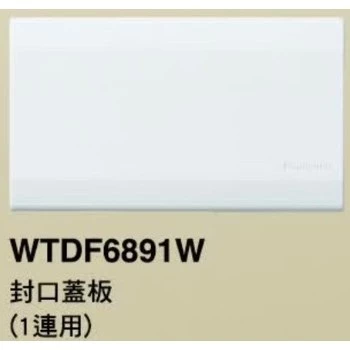 【 大林電子 】國際牌 星光 系列 WTDF 6801 6802 6803 6891 插座 開關 蓋板