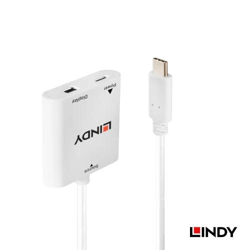 【 大林電子 】LINDY 林帝 主動式USB3.1 TYPE-C公 To MiniDP母 轉接器帶PD功能 43246