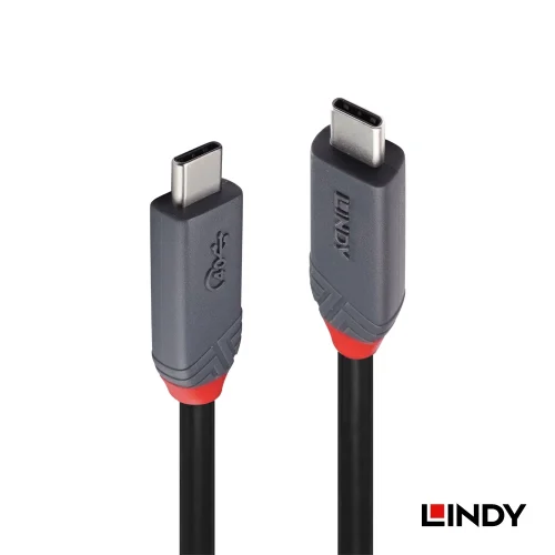 【 大林電子 】LINDY 林帝 ANTHRA USB4 GEN3X2 TYPE-C公 TO 公傳輸線 1M 92000