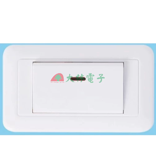 【 大林電子 】台昱電工 雪白型開關 一切 二切 三切 單插座附接地組